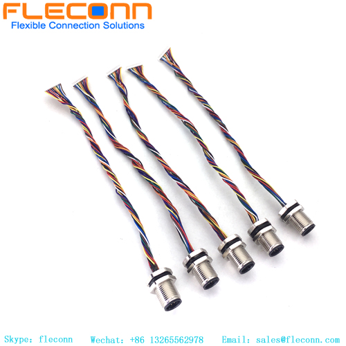 12-poliger M12-Stecker für Panelmontage mit Molex 510211200-Steckerkabelbaum